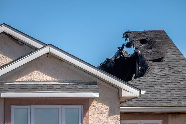 Top rated local Fire Damage Removal specialists in Hampton, VA